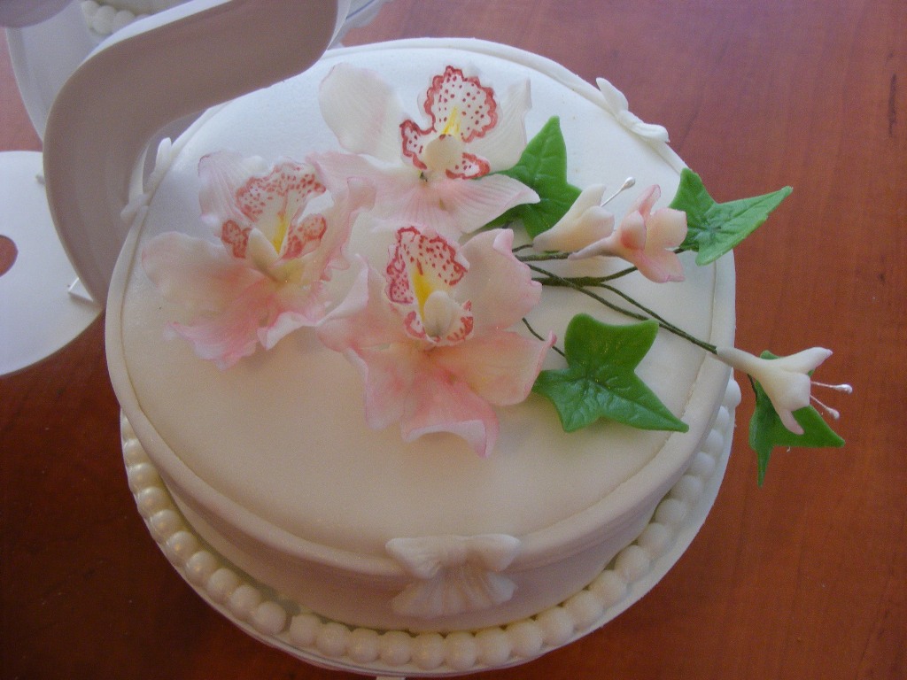 DSCF2263a.jpg