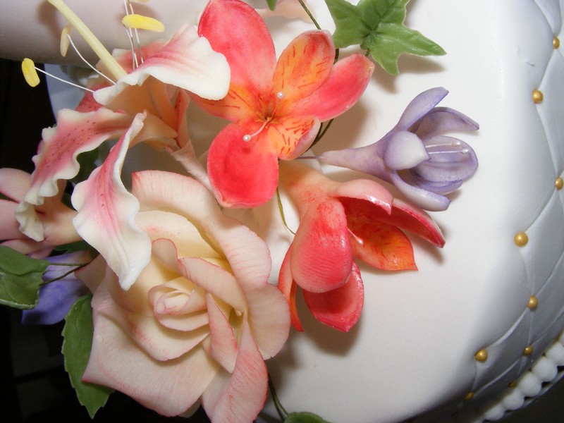 fresie ,alstromeria 025a.jpg