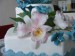 DSCF0013.jpg
