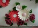 DSC01453b.jpg