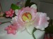 DSC01656.JPG
