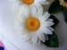 DSCF1222.JPG