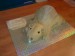 30062011187.jpg
